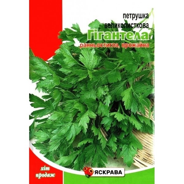 Насіння петрушки Гігантела, 20г, ТМ Яскрава